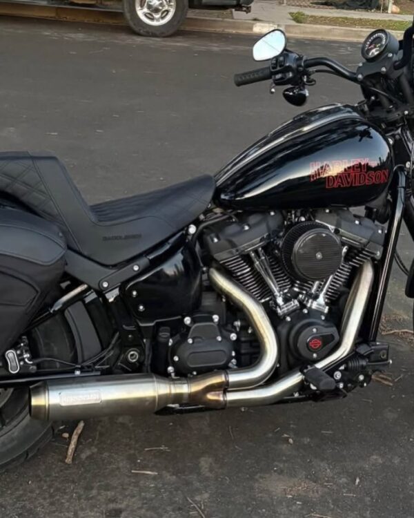 Bassani exhaust