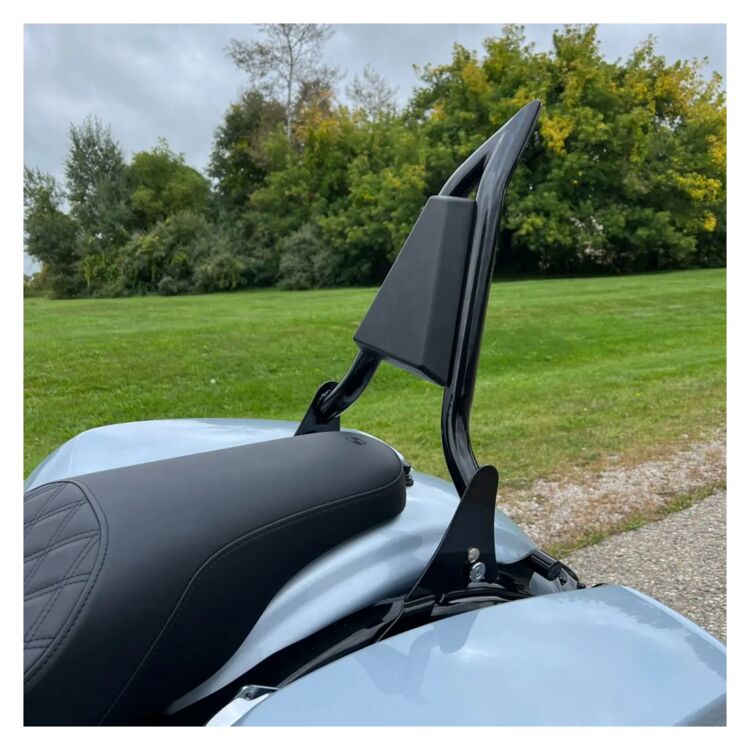 HogWorkz Havoc Detachable Sissy Bar For Harley Touring 2009-2025 - Image 5